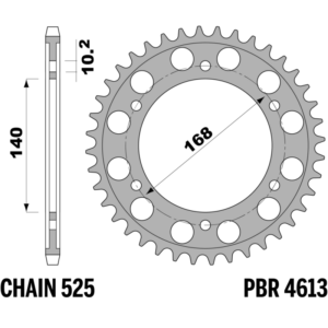 R-4613-42TEMP PBR Tempered Steel Rear Sprocket — BMW