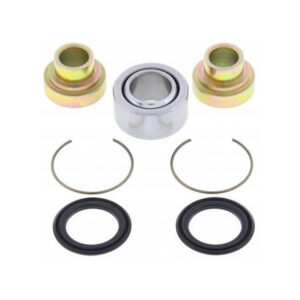 Beta 250 2T Shock Bearings