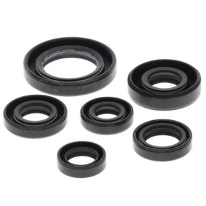 Honda 300 4T Engine Oil Seal Kits