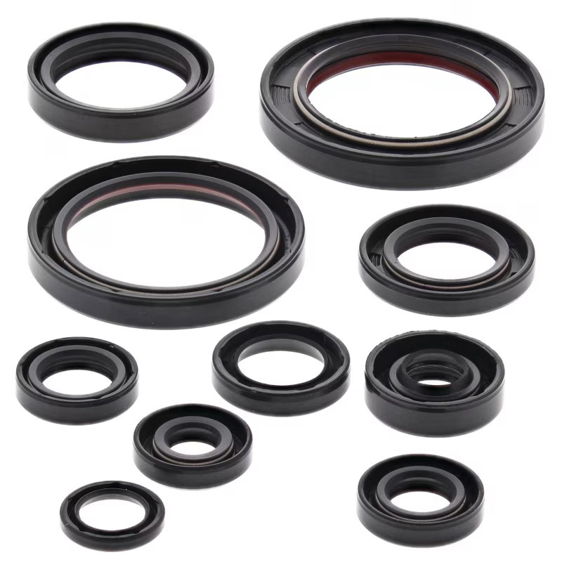 Honda 250 4T Engine Oil Seal Kits