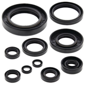 Yamaha 250 2T Engine Oil Seal Kits