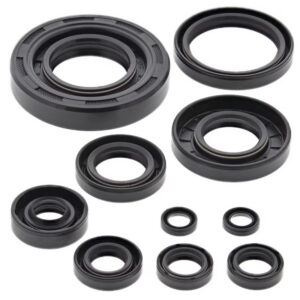 Fantic 250 2T Engine Oil Seal Kits