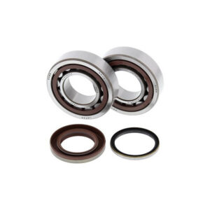KTM 250 4-T Crank Bearing Kit