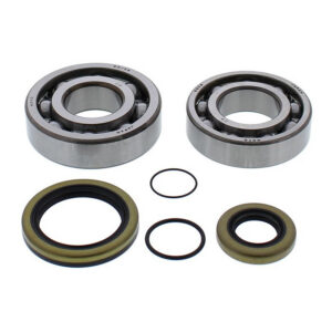 Rieju 300 2T Crank Bearing Kits