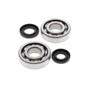 Kawasaki KX250 1987–2001 Crank Bearing Kit