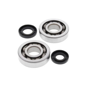 Kawasaki KX250 2002–2008 Crank Bearing Kit