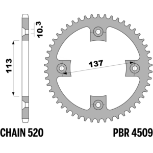 R-4509 PBR Steel Rear Sprocket — Suzuki