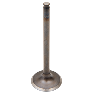 Honda 450 4T Intake Valves