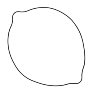 Suzuki 250 2T Clutch Cover Gaskets