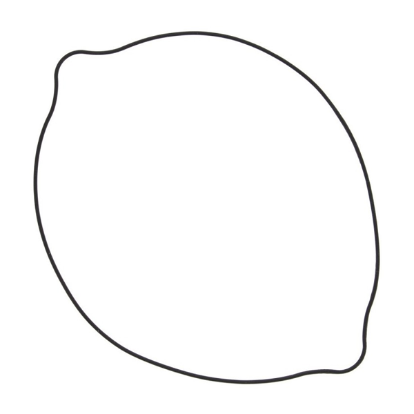 Suzuki 250 2T Clutch Cover Gaskets
