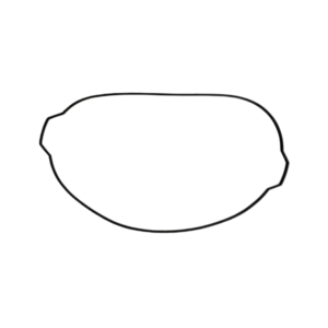 KTM 505 4T Clutch Cover Gaskets