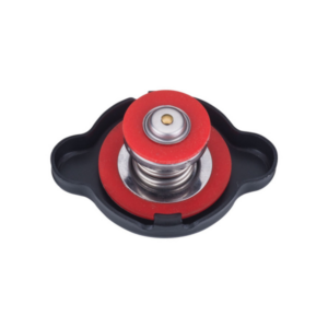 Aprilia / Ducati Street Models Cooling Systems