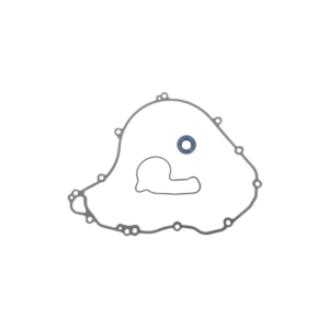 GasGas 250 4T Water Pump Gaskets