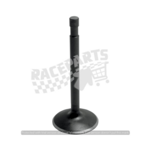 Yamaha 80 Exhaust Valves