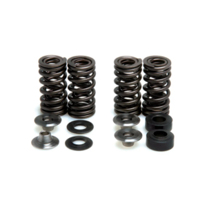 Arctic Cat 400 Valve Spring Kits