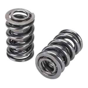 Honda 250 Valve Springs