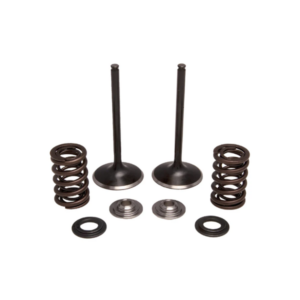 Arctic Cat 400 Exhaust Valve and Spring Kits