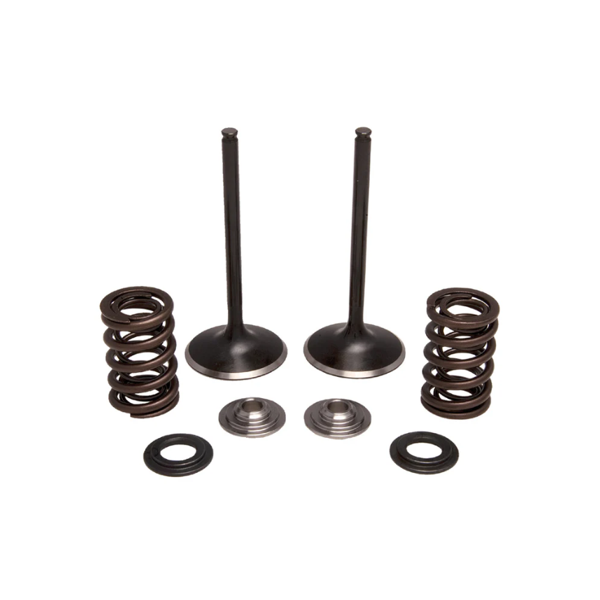 Arctic Cat 400 Exhaust Valve and Spring Kits