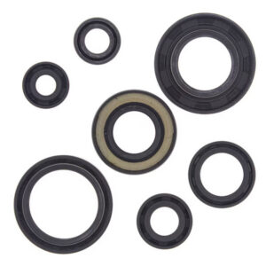 Engine Oil Seal Kit-Yamaha YFS200 Blaster ATV