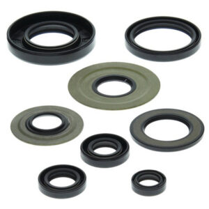 Engine Oil Seal Kit-Yamaha YFM350R ATV
