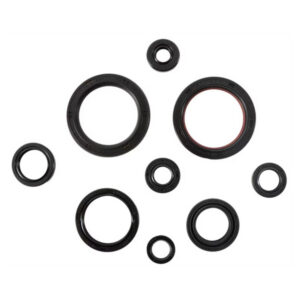 Engine Oil Seal Kit-Honda CRF450R/RWE/RX/R-S