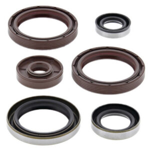 Engine Oil Seal Kit-KTM/Husqvarna 450/500/501